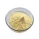 Phospholipid powder